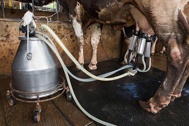 What is milking machine