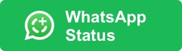 whatsapp status
